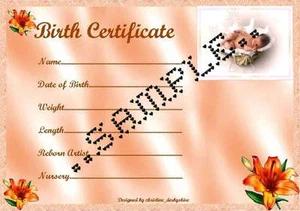 "BONITO CERTIFICADO DE NACIMIENTO DE BEBÉ MELOCOTÓN/CERTIFICADOS RENACIDO BEBÉ FALSO aprox 7""x 5"" - Imagen 1 de 1
