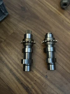 Harley Twin Cam Cam Set  (OEM #25569-07A & 25617-07A) - Imagen 1 de 2