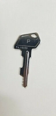 SAM4s Cash Register "P" Key