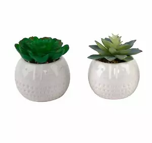Flora Bunda Artificial Plants Cactus Set of 2 in Round Cool Face Ceramic Pot - Bild 1 von 9