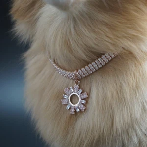 Collana per cani | Collana Ciondolo Cane Strass Oro Rosa Tono | Gioielli Cane - Foto 1 di 7