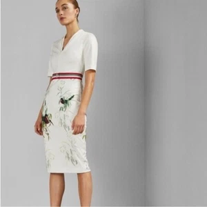 Ted Baker Tutti Frutti bodycon dress Belted molilo bird print Sz 3 US 8 - Picture 1 of 16