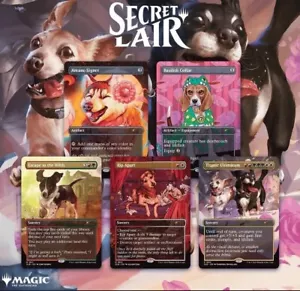 Mtg Magic Card Secret Lair Dogs are better than Cats Sealed Non-FOIL In Hand - Picture 1 of 4