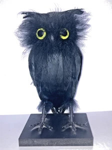 Süße Halloween schwarze Eule Schaumstoff Statue mit echter Feder & großen grünen Augen 9" hoch - Bild 1 von 6
