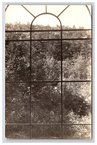 Cartolina: vista foresta RPPC attraverso una finestra - non pubblicata - Foto 1 di 2