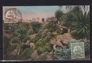 AH984) AK Ansichtskarte DSWA Deutsch Südwest Afrika , Landschaft, Einheimischer - Bild 1 von 2