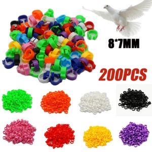 200 x anello piedi uccellino piccolo colore misto fascia gambe colomba piccione pollame clip fasce - Foto 1 di 24