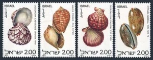 Israel 678-681, MNH. Michel 726-729. Shells 1977. - Picture 1 of 1