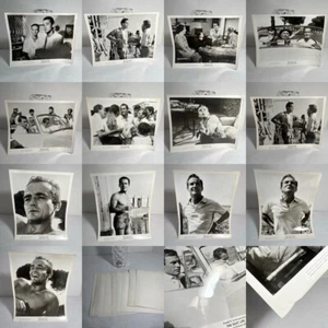 1964 THE EASY LIFE (II SORPASSO): Joseph Levine Movie Film Promo Photo LOT of 13 - Picture 1 of 23