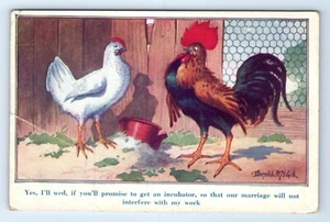 Hen Rooster Marriage Incubator Working Postcard Undivided DONALD McGILL c.1905 - Picture 1 of 2