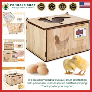 Adjustable Temperature Egg Hatcher: Compact Incubator for Educational Fun - Picture 1 of 9