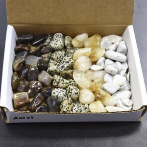 1lb Tumbled Stone Collection Petrified Wood Dalmatian Jasper Lg Citrine Howlite - Picture 1 of 4