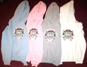 SUDADERA CON CAPUCHA PARK 1260 DOCE60 OFICIAL GILDAN 50/50, MUCHAS TALLAS Y COLORES - Imagen 1 de 5