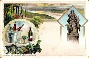 Litografía Rüdesheim am Rhein en Hesse, monumento a Niederwald, vino,... - 4953395 - Imagen 1 de 2