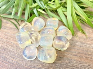 1/2 Pfund gelbe Obsidian Trommelsteine Kristalltherapie Edelsteinprobe Reiki - Bild 1 von 12