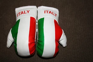 ITALY / ITALIAN FLAG Mini Boxing Gloves Ornament *BRAND NEW* - Foto 1 di 3