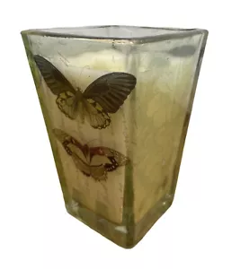Colonial Candle Butterfly Jar Jasmine Flared 1 wick Candle 5 inches high - Picture 1 of 7