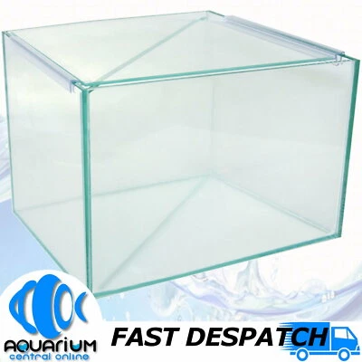 Aqua One Betta Divided Glass Tank 25Wx20Dx20cm H Siamese Fighter Aquarium Tank - image 1 of 2