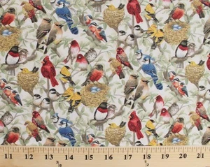 Housing Boom Birds rami nidi uova foglie crema stampa tessuto cotone D505.20 - Foto 1 di 1