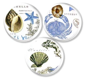 Set of 3 Nautical Cabinet Knobs – Coastal Shell & Crab Sea Life Drawer Pulls - Picture 1 of 4