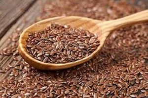 Brown Flax Seeds Whole Raw Grain Flax Seed NON GMO Linseed  Linium Usitatissinum - Picture 1 of 5