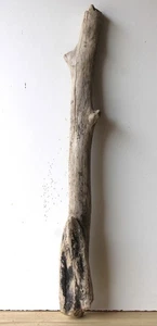 Madera flotante Driftwood 1 XL rama armario decoración 77 cm - Imagen 1 de 11