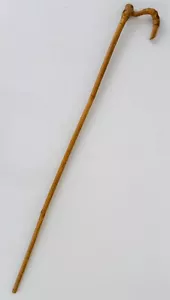 Antique Bamboo Walking Stick Cane Anthropomorphic Bird Head Root Handle - Picture 1 of 4