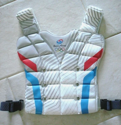 PARIS 2024 TEAM KOREA ATHLETE BODY CORE COOLING VEST: RARE! - Image 1 of 4