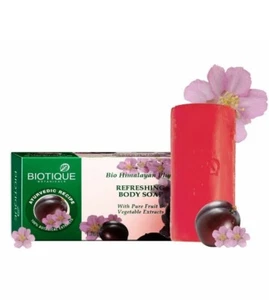 3xBIOTIQUE Ciruela del Himalaya Refrescante Barra de Baño 150g Cada Caducidad 4/25 VENDEDOR DE EE. UU. - Imagen 1 de 1