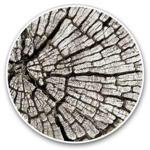 2 x Vinyl Aufkleber 30 cm - Wald Baumrinde cooles Geschenk #14147 - Bild 1 von 9