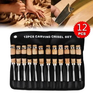 12 Pcs Wood Carving Hand Chisel Tool Set Professional DIY Woodworking Gouges Kit - Picture 1 of 8