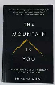 THE MOUNTAIN IS YOU BY BRIANNA WIEST USA stock Fast Shipping Paperback - Imagen 1 de 1