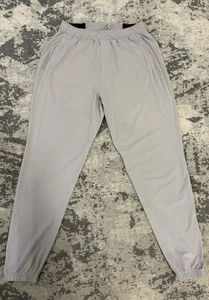 Lululemon Men's Surge Jogger 29" Silver Drop Shine Size M - Picture 1 of 9