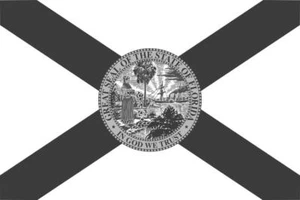 Calcomanía de vinilo cámper coche camión ventana con bandera del estado de Florida pegatina tenue VAR - Imagen 1 de 1