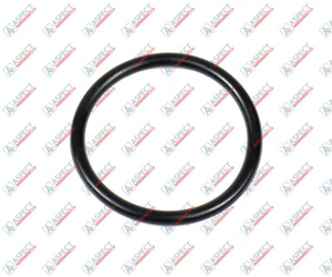 O-ring Hitachi 4294621 - Foto 1 di 1