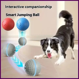 Bola de juguete inteligente interactiva automática para perros mascota electrónica enrollable USB recargable - Imagen 1 de 36