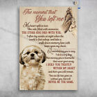 Shih Tzu Dog - The Moment That You Left Me, My Heart Split In Two, One Side F...