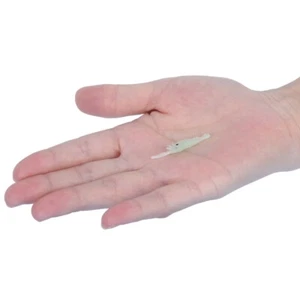 50Pcs Simulation Shrimp Lure Soft Swinging Tackle For Freshwater EUY - Picture 1 of 16