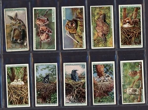 Tobacco Cards 1925 W.D. & H.O. WILLS - Life in the Tree Tops - full set - Picture 1 of 10