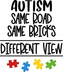 Autism Same Road - Picture 1 of 2