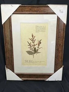 FRAMED PRESSED SAGE PROVERBS WALL ART 17 X 12.5” - Picture 1 of 7