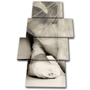 Performing Ballet Pumps DANCE MULTI CANVAS WALL ART Picture Print VA - Picture 1 of 1