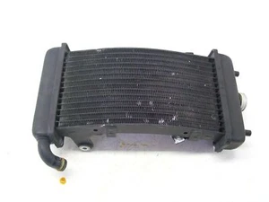 RADIATORE ACQUA PER MALAGUTI PASSWORD 250 DEL 2007 (e31322) - Imagen 1 de 2