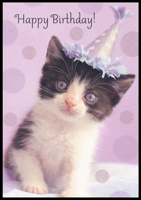 Tarjeta de felicitación - Gatito Gatito - Cumpleaños - 0302 Foto 1 de 2