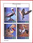 A4030 - MALDIVES - ERROR MISPERF,  Miniature sheet: 2019,  Pelicans,  Birds