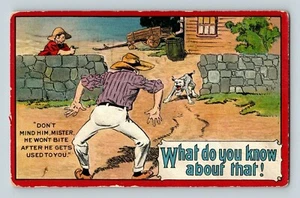 1911 Gaurd Hund auf dem Bauernhof "Er beißt nicht, nachdem er sich an dich gewöhnt hat" Postkarte - Bild 1 von 2