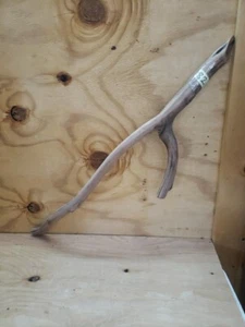 28" sanded natural Manzanita Branch reptile bird habitats terrarium #82 - Picture 1 of 8