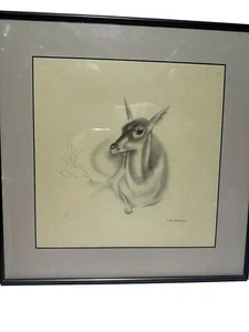 John Rattenbury Skeaping RA Very Fine Portrait Of A Doe - Picture 1 of 3