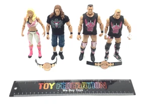 Lotto action figure WWE ELITE HART DYNASTY DAVID HART,TYSON KIDD,NATALYA,BRET HART - Foto 1 di 12