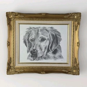 Vintage Golden Retriever Zeichnung signiert Soren in einem goldenen Antik Stil UV Glasrahmen - Bild 1 von 7